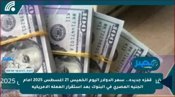 قفزة جديدة.. سعر الدولار اليوم الخميس 21 أغسطس 2025 أمام الجنيه المصري في البنوك بعد استقرار العملة الأمريكية